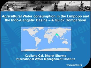 Xueliang Cai, Bharat Sharma International Water Management Institute Agricultural Water consumption in the Limpopo and the Indo-Gangetic Basins – A Quick Comparison 