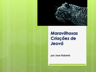 Maravilhosas
Criações de
Jeová

por Jose Roberto
 