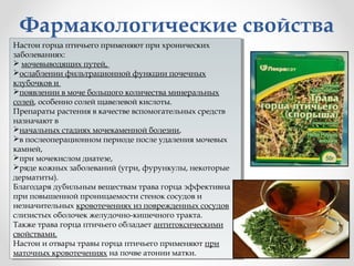 Фармакологические свойства
Настои горца птичьего применяют при хронических
Настои горца птичьего применяют при хронических
заболеваниях:
заболеваниях:
 мочевыводящих путей,
 мочевыводящих путей,
ослаблении фильтрационной функции почечных
ослаблении фильтрационной функции почечных
клубочков и
клубочков и
появлении ввмоче большого количества минеральных
появлении моче большого количества минеральных
солей, особенно солей щавелевой кислоты.
солей, особенно солей щавелевой кислоты.
Препараты растения ввкачестве вспомогательных средств
Препараты растения качестве вспомогательных средств
назначают вв
назначают
начальных стадиях мочекаменной болезни,
начальных стадиях мочекаменной болезни,
ввпослеоперационном периоде после удаления мочевых
 послеоперационном периоде после удаления мочевых
камней,
камней,
при мочекислом диатезе,
при мочекислом диатезе,
ряде кожных заболеваний (угри, фурункулы, некоторые
ряде кожных заболеваний (угри, фурункулы, некоторые
дерматиты).
дерматиты).
Благодаря дубильным веществам трава горца эффективна
Благодаря дубильным веществам трава горца эффективна
при повышенной проницаемости стенок сосудов и
при повышенной проницаемости стенок сосудов и
незначительных кровотечениях из поврежденных сосудов
незначительных кровотечениях из поврежденных сосудов
слизистых оболочек желудочно-кишечного тракта.
слизистых оболочек желудочно-кишечного тракта.
Также трава горца птичьего обладает антитоксическими
Также трава горца птичьего обладает антитоксическими
свойствами.
свойствами.
Настои и отвары травы горца птичьего применяют при
Настои и отвары травы горца птичьего применяют при
маточных кровотечениях на почве атонии матки.
маточных кровотечениях на почве атонии матки.

 