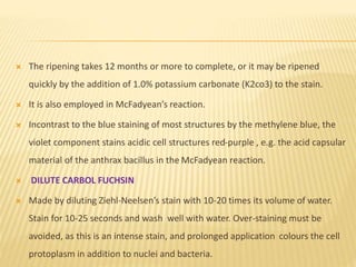  The ripening takes 12 months or more to complete, or it may be ripened
quickly by the addition of 1.0% potassium carbonate (K2co3) to the stain.
 It is also employed in McFadyean’s reaction.
 Incontrast to the blue staining of most structures by the methylene blue, the
violet component stains acidic cell structures red-purple , e.g. the acid capsular
material of the anthrax bacillus in the McFadyean reaction.
 DILUTE CARBOL FUCHSIN
 Made by diluting Ziehl-Neelsen’s stain with 10-20 times its volume of water.
Stain for 10-25 seconds and wash well with water. Over-staining must be
avoided, as this is an intense stain, and prolonged application colours the cell
protoplasm in addition to nuclei and bacteria.
 