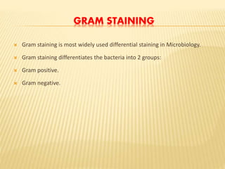 GRAM STAINING
 Gram staining is most widely used differential staining in Microbiology.
 Gram staining differentiates the bacteria into 2 groups:
 Gram positive.
 Gram negative.
 
