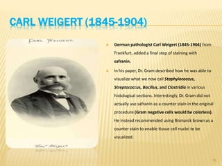 CARL WEIGERT (1845-1904)
 German pathologist Carl Weigert (1845-1904) from
Frankfurt, added a final step of staining with
safranin.
 In his paper, Dr. Gram described how he was able to
visualize what we now call Staphylococcus,
Streptococcus, Bacillus, and Clostridia in various
histological sections. Interestingly, Dr. Gram did not
actually use safranin as a counter stain in the original
procedure (Gram negative cells would be colorless).
He instead recommended using Bismarck brown as a
counter stain to enable tissue cell nuclei to be
visualized.
18
 
