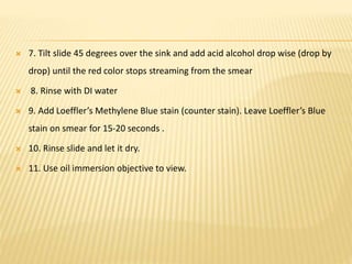  7. Tilt slide 45 degrees over the sink and add acid alcohol drop wise (drop by
drop) until the red color stops streaming from the smear
 8. Rinse with DI water
 9. Add Loeffler’s Methylene Blue stain (counter stain). Leave Loeffler’s Blue
stain on smear for 15-20 seconds .
 10. Rinse slide and let it dry.
 11. Use oil immersion objective to view.
 