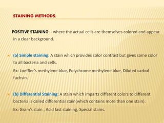 STAINING METHODS:
POSITIVE STAINING: - where the actual cells are themselves colored and appear
in a clear background.
 (a) Simple staining: A stain which provides color contrast but gives same color
to all bacteria and cells.
Ex: Loeffler’s methylene blue, Polychrome methylene blue, Diluted carbol
fuchsin.
 (b) Differential Staining: A stain which imparts different colors to different
bacteria is called differential stain(which contains more than one stain).
Ex: Gram’s stain , Acid fast staining, Special stains.
 