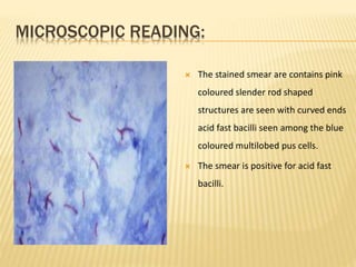 MICROSCOPIC READING:
 The stained smear are contains pink
coloured slender rod shaped
structures are seen with curved ends
acid fast bacilli seen among the blue
coloured multilobed pus cells.
 The smear is positive for acid fast
bacilli.
 