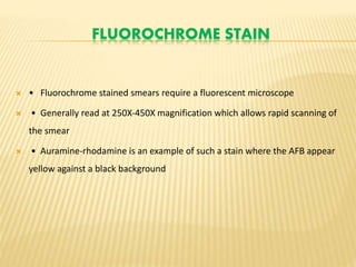 FLUOROCHROME STAIN
 • Fluorochrome stained smears require a fluorescent microscope
 • Generally read at 250X-450X magnification which allows rapid scanning of
the smear
 • Auramine-rhodamine is an example of such a stain where the AFB appear
yellow against a black background
 