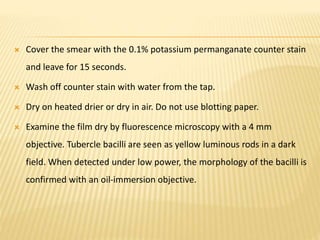  Cover the smear with the 0.1% potassium permanganate counter stain
and leave for 15 seconds.
 Wash off counter stain with water from the tap.
 Dry on heated drier or dry in air. Do not use blotting paper.
 Examine the film dry by fluorescence microscopy with a 4 mm
objective. Tubercle bacilli are seen as yellow luminous rods in a dark
field. When detected under low power, the morphology of the bacilli is
confirmed with an oil-immersion objective.
 