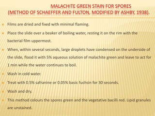 MALACHITE GREEN STAIN FOR SPORES
(METHOD OF SCHAEFFER AND FULTON, MODIFIED BY ASHBY, 1938).
 Films are dried and fixed with minimal flaming.
 Place the slide over a beaker of boiling water, resting it on the rim with the
bacterial film uppermost.
 When, within several seconds, large droplets have condensed on the underside of
the slide, flood it with 5% aqueous solution of malachite green and leave to act for
1 min while the water continues to boil.
 Wash in cold water.
 Treat with 0.5% safranine or 0.05% basic fuchsin for 30 seconds.
 Wash and dry.
 This method colours the spores green and the vegetative bacilli red. Lipid granules
are unstained.
 