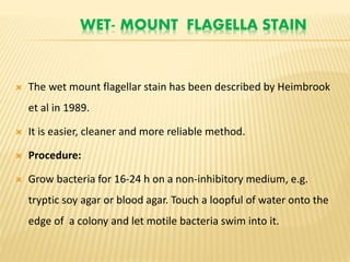 WET- MOUNT FLAGELLA STAIN
 The wet mount flagellar stain has been described by Heimbrook
et al in 1989.
 It is easier, cleaner and more reliable method.
 Procedure:
 Grow bacteria for 16-24 h on a non-inhibitory medium, e.g.
tryptic soy agar or blood agar. Touch a loopful of water onto the
edge of a colony and let motile bacteria swim into it.
 