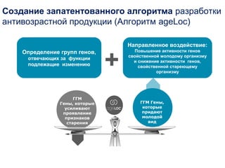 Создание запатентованного алгоритма разработки
антивозрастной продукции (Алгоритм ageLoc)

                                    Направленное воздействие:


                                +
    Определение групп генов,          Повышение активности генов
                                    свойственной молодому организму
     отвечающих за функции
                                      и снижение активности генов,
     подлежащие изменению               свойственной стареющему
                                               организму




                      ГГМ
                Гены, которые           ГГМ Гены,
                  усиливают              которые
                 проявление              придают
                  признаков              молодой
                   старения                вид
 