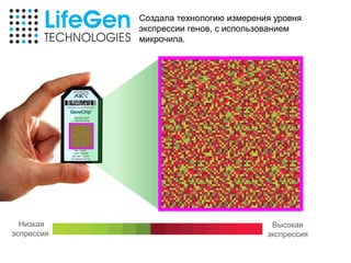 Создала технологию измерения уровня
            экспрессии генов, с использованием
            микрочипа.




  Низкая                                Высокая
эспрессия                              экспрессия
 