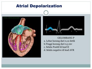 Atrial Depolarization
GELOMBANG PGELOMBANG P
a. Lebar kurang dari 0,12 detika. Lebar kurang dari 0,12 detik
b.Tinggi kurang dari 0,3 mvb.Tinggi kurang dari 0,3 mv
c. Selalu Positif di lead IIc. Selalu Positif di lead II
d. Selalu negative di lead AVRd. Selalu negative di lead AVR
 