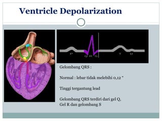 Ventricle Depolarization
Gelombang QRS :
Normal : lebar tidak melebihi 0,12 “
Tinggi tergantung lead
Gelombang QRS terdiri dari gel Q,
Gel R dan gelombang S
 
