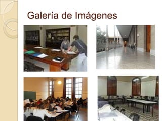Galería de Imágenes
 
