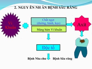 Bài Tuyên Truyền Chăm Sóc Sức Khỏe Răng Miệng Cho Học Sinh PDF