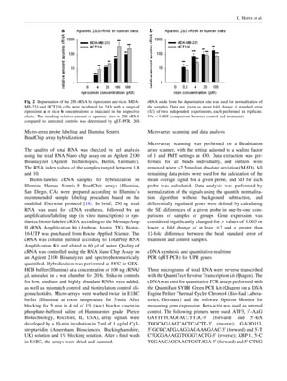 Micro-array probe labeling and Illumina Sentrix
BeadChip array hybridization
The quality of total RNA was checked by gel analysis
using the total RNA Nano chip assay on an Agilent 2100
Bioanalyzer (Agilent Technologies, Berlin, Germany).
The RNA index values of the samples ranged between 8.8
and 10.
Biotin-labeled cRNA samples for hybridization on
Illumina Human Sentrix-8 BeadChip arrays (Illumina,
San Diego, CA) were prepared according to Illumina’s
recommended sample labeling procedure based on the
modiﬁed Eberwine protocol [18]. In brief, 250 ng total
RNA was used for cDNA synthesis, followed by an
ampliﬁcation/labeling step (in vitro transcription) to syn-
thesize biotin-labeled cRNA according to the MessageAmp
II aRNA Ampliﬁcation kit (Ambion, Austin, TX). Biotin-
16-UTP was purchased from Roche Applied Science. The
cRNA was column puriﬁed according to TotalPrep RNA
Ampliﬁcation Kit and eluted in 60 ll of water. Quality of
cRNA was controlled using the RNA Nano Chip Assay on
an Agilent 2100 Bioanalyzer and spectrophotometrically
quantiﬁed. Hybridization was performed at 58°C in GEX-
HCB buffer (Illumina) at a concentration of 100 ng cRNA/
ll, unsealed in a wet chamber for 20 h. Spike-in controls
for low, medium and highly abundant RNAs were added,
as well as mismatch control and biotinylation control oli-
gonucleotides. Micro-arrays were washed twice in E1BC
buffer (Illumina) at room temperature for 5 min. After
blocking for 5 min in 4 ml of 1% (w/v) blocker casein in
phosphate-buffered saline of Hammarsten grade (Pierce
Biotechnology, Rockford, IL, USA), array signals were
developed by a 10-min incubation in 2 ml of 1 lg/ml Cy3-
streptavidin (Amersham Biosciences, Buckinghamshire,
UK) solution and 1% blocking solution. After a ﬁnal wash
in E1BC, the arrays were dried and scanned.
Micro-array scanning and data analysis
Micro-array scanning was performed on a Beadstation
array scanner, with the setting adjusted to a scaling factor
of 1 and PMT settings at 430. Data extraction was per-
formed for all beads individually, and outliers were
removed when[2.5 median absolute deviation (MAD). All
remaining data points were used for the calculation of the
mean average signal for a given probe, and SD for each
probe was calculated. Data analysis was performed by
normalization of the signals using the quantile normaliza-
tion algorithm without background subtraction, and
differentially regulated genes were deﬁned by calculating
the SD differences of a given probe in one-by-one com-
parisons of samples or groups. Gene expression was
considered signiﬁcantly changed for p values of 0.005 or
lower, a fold change of at least ±2 and a greater than
12-fold difference between the bead standard error of
treatment and control samples.
cDNA synthesis and quantitative real-time
PCR (qRT-PCR) for UPR genes
Three micrograms of total RNA were reverse transcribed
with the QuantiTect Reverse Transcription kit (Qiagen). The
cDNA was used for quantitative PCR assays performed with
the QuantiFast SYBR Green PCR kit (Qiagen) on a DNA
Engine Peltier Thermal Cycler Chromo4 (Bio-Rad Labora-
tories, Germany) and the software Opticon Monitor for
measuring gene expression. Beta-actin was used as internal
control. The following primers were used: ATF3, 50
-AAG
GATTTTCAGCACCTTGC-30
(forward) and 50
-GA
TGGCAGAAGCACTCACTT-30
(reverse); GADD153,
50
-GCGCATGAAGGAGAAAGAAC-30
(forward) and 50
-T
CTGGGAAAGGTGGGTAGTG-30
(reverse); XBP-1, 50
-C
TGGAACAGCAAGTGGTAGA-30
(forward) and 50
-CTGG
Fig. 2 Depurination of the 28S rRNA by riproximin and ricin. MDA-
MB-231 and HCT116 cells were incubated for 24 h with a range of
riproximin a or ricin b concentrations as indicated in the respective
charts. The resulting relative amount of apurinic sites in 28S rRNA
compared to untreated controls was determined by qRT-PCR. 28S
rRNA aside from the depurination site was used for normalization of
the samples. Data are given as mean fold change ± standard error
(SE) of two independent experiments, each performed in triplicate.
**p  0.005 (comparison between control and treatment)
C. Horrix et al.
 