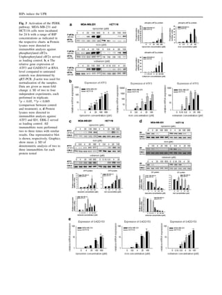 Fig. 3 Activation of the PERK
pathway. MDA-MB-231 and
HCT116 cells were incubated
for 24 h with a range of RIP
concentrations as indicated in
the respective charts. a Protein
lysates were directed to
immunoblot analysis against
phosphorylated eIF2a.
Unphosphorylated eIF2a served
as loading control. b, e The
relative gene expression of
ATF3 and GADD153 at RNA
level compared to untreated
controls was determined by
qRT-PCR. b-actin was used for
normalization of the samples.
Data are given as mean fold
change ± SE of two to four
independent experiments, each
performed in triplicate.
*p  0.05, **p  0.005
(comparison between control
and treatment). c, d Protein
lysates were directed to
immunoblot analysis against
ATF3 and ID1. ERK-2 served
as loading control. All
immunoblots were performed
two to three times with similar
results. One representative blot
is shown, respectively. Graphics
show mean ± SD of
densitometric analysis of two to
three immunoblots for each
protein tested
RIPs induce the UPR
 