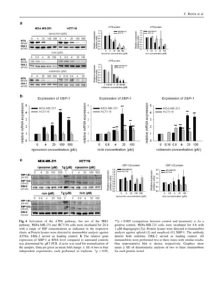 Fig. 4 Activation of the ATF6 pathway, but not of the IRE1
pathway. MDA-MB-231 and HCT116 cells were incubated for 24 h
with a range of RIP concentrations as indicated in the respective
charts. a Protein lysates were directed to immunoblot analysis against
ATF6a. ERK-2 served as loading control. b The relative gene
expression of XBP-1 at RNA level compared to untreated controls
was determined by qRT-PCR. b-actin was used for normalization of
the samples. Data are given as mean fold change ± SE of two to four
independent experiments, each performed in triplicate. *p  0.05,
**p  0.005 (comparison between control and treatment). c As a
positive control, MDA-MB-231 cells were incubated for 4 h with
1 lM thapsigargin (Tg). Protein lysates were directed to immunoblot
analysis against spliced (S) and unspliced (U) XBP-1. The antibody
detects both isoforms. ERK-2 served as loading control. All
immunoblots were performed two to three times with similar results.
One representative blot is shown, respectively. Graphics show
mean ± SD of densitometric analysis of two to three immunoblots
for each protein tested
C. Horrix et al.
 