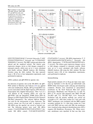 GTCCTTCTGGGTAGAC-30
(reverse); beta-actin, 50
-AGC
CTCGCCTTTGCCGA-30
(forward) and 50
-CTGGTGCC
TGGGGCG-30
(reverse). The XBP-1 primer pair detects the
spliced and the unspliced isoform. The relative gene
expression changes—given as fold changes compared to
untreated controls, which were set to 1—were calculated
with GenEx software (MultiD Analyses AB, Go¨teborg,
Sweden) using the DDCt method. The data represent
mean ± SE of two to four independent experiments, each
performed in triplicate.
cDNA synthesis and qRT-PCR for apurinic sites
For detection of apurinic sites in the 28S rRNA, the qRT-
PCR method of Melchior and Tolleson [19] was applied
with some modiﬁcations. Brieﬂy, 200 ng of total RNA was
reverse transcribed with the High Capacity cDNA Reverse
Transcription Kit (Applied Biosystems). Then 4 ll of a
1:40 dilution of the resulting cDNA was used for
qRT-PCRs with the QuantiFast SYBR Green PCR kit
(Qiagen) on DNA Engine Peltier Thermal Cycler Chromo4
(Bio-Rad Laboratories). The software Opticon Monitor
was used for the measurement of gene expression. The
reaction volume was 20 ll per tube. A sequence of the
28S rRNA near the apurinic site served as internal con-
trol. The following primers were used: 28S rRNA
control, 50
-GATGTCGGCTCTTCCTATCATTGT-30
(for-
ward); 28S rRNA control, 50
-CCAGCTCACGTTCC
CTATTAGTG-30
(reverse); 28S rRNA depurination, 50
- T
GCCATGGTAATCCTGCTCAGTA-30
(forward); 28S
rRNA depurination, 50
-TCTGAACCTGCGGTTCCACA-
30
(reverse). The relative gene expression changes—given
as fold changes compared to untreated controls, which
were set to 1—were calculated with GenEx software
(MultiD Analyses AB) using the DDCt method. The data
represent mean ± SE of two independent experiments,
each performed in triplicate.
Immunoblotting
Equal protein amounts (15 or 20 lg per lane) were sepa-
rated by NuPAGE 4–12% Bis-Tris gel SDS-PAGE with
MOPS buffer (Invitrogen) under reducing and denaturing
conditions. Proteins were transferred to nitrocellulose
membranes by the Xcell SureLock Mini Cell system
(Invitrogen). Membranes were blocked for 1 h with 5%
BSA or 5% non-fat milk prepared with TBST [50 mM
Tris-HCl (pH 7.5); 150 mM NaCl; 0.1% Tween-20].
Incubation with the primary antibody was carried out
overnight at 4°C. After three washes for 5 min each with
TBST, membranes were incubated with the HRP-coupled
secondary antibody for 1 h. After three washes for 5 min
each with TBST and one wash with TBS, the membranes
were visualized using enhanced chemiluminescence (ECL)
reagents (GE Healthcare, Piscataway, NJ). Where neces-
sary, membranes were reprobed. In that case they were
Fig. 5 Change in cell viability
upon RIP exposure. MDA-MB-
231 and HCT116 cells were
incubated for 24 h with a range
of riproximin a, ricin b or
volkensin c concentrations as
indicated in the respective
charts. Cell viability was
determined by MTT assay. Data
are given as mean ± SE
RIPs induce the UPR
 