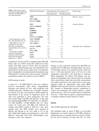 incubated for 20 min at 80°C in stripping buffer [200 mM
Glycin (pH 2.5); 0.05% Tween-20], followed by three
washes with TBS, each for 10 min. Then the detection
started again with the blocking step. All immunoblots were
performed two to three times, respectively, for each protein
tested. Immunoblots were densitometrically analyzed using
Photoshop CS3, and the data are given as mean ± SD after
normalization against the respective levels of ERK-2.
DAPI staining of nuclei
A total of 5 9 104
MDA-MB-231 cells were seeded in
Lab-Tek four-chamber slides (Nunc, Langenselbold,
Germany) and cultured for 24 h. After incubation with
500 pM riproximin, 100 pM ricin or 500 pM volkensin
for another 24 h cells were directed to DAPI staining for
determination of the amount of fragmented nuclei. All
steps were performed at room temperature. The cells
were rinsed brieﬂy with PBS and ﬁxed for 15 min with
4% paraformaldehyde/PBS (137 mM NaCl, 2.7 mM KCl,
10.1 mM Na2HPO4, 1.8 mM KH2PO4, pH 7.4). Three
washes for 5 min each with PBS were followed by
staining with DAPI (1 lg/ml in H2O) for 1 min. After
another wash with PBS, samples were mounted in
Mowiol and allowed to dry over night at 4°C in the
dark. Bright ﬁeld imaging was performed on a Zeiss Cell
Observer microscope (Carl Zeiss MicroImaging, Jena,
Germany), with a 209 objective.
Statistical analyses
Changes in gene expression measured by qRT-PCR (for
quantiﬁcation of UPR genes and depurination) were given
as fold change relative to an untreated control, which was
set to 1. The data represent mean ± SE of two to four
independent experiments, each performed in triplicate.
Where appropriate, the relative fold changes were dis-
played on a logarithmic scale. The raw data were evaluated
with a mixed linear model with ﬁxed effect concentration
and random intercept for the nested factor of each mea-
surement within an experimental series using PROC
MIXED in SAS software (Version 9.1, SAS Institute, Cary,
NC). Dunnett or Dunnett-Hsu pairwise comparisons to
control were performed. One asterisk denotes a signiﬁ-
cance level of p  0.05; two asterisks denote a signiﬁcance
level of p  0.005, both in regard to comparisons between
a treatment condition and the respective control.
Results
Type II RIPs depurinate the 28S rRNA
The postulated mode of action of RIPs, an irreversible
depurination of a speciﬁc adenine in 28S rRNA leading to
translational arrest, is normally shown in cell-free systems,
but can also be detected in living cells [20]. To verify
Table 1 Micro-array analysis
using Illumina Bead Chips after
incubation of MDA-MB-231
cells with riproximin
a
Gene designations in bold
were used throughout the text
b
MDA-MB-231 cells were
incubated for 24 h with
riproximin concentrations
corresponding to IC25 and IC50
values
c
Fold change in mRNA
expression compared to
untreated controls. Changes
greater than twofold are
signiﬁcant (p  0.005)
HUGO gene designationa
Fold change after 24 h exposure to:b,c
Protein group
45 pM riproximin 350 pM riproximin
ATF6 1.9 2.4 ER stress sensors
ERN1 (IRE1) 4.2 7.2
EIF2AK3 (PERK) 1.0 1.4
ATF3 23.8 52.6 Cytosolic effectors
DDIT3 (GADD153) 7.0 8.8
EDEM1 -2.0 -2.3
GADD45A 12.9 15.7
GADD45B 6.2 7.2
IL24 35.4 30.2
PPP1R15A (GADD34) 3.8 3.8
SERP1 (RAMP4) -1.2 -1.2
TANK (TRAF2) 1.5 3.6
XBP1 (XBP-1) 1.5 -1.6
DNAJB11 (HEDJ) -1.2 -1.1 Chaperones and co-chaperones
HSPA1B -2.5 -2.1
HSPA5 (BiP) -2.2 -2.3
HSPA8 -2.9 -12.4
HSPB1 -2.1 -2.1
HSPB8 2.8 5.6
C. Horrix et al.
 