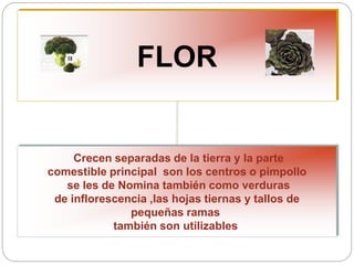 FLOR
Crecen separadas de la tierra y la parte
comestible principal son los centros o pimpollo
se les de Nomina también como verduras
de inflorescencia ,las hojas tiernas y tallos de
pequeñas ramas
también son utilizables
 