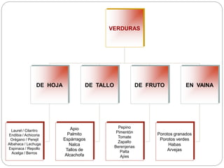 VERDURAS
DE HOJA DE FRUTO
DE TALLO EN VAINA
Laurel / Cilantro
Endibia / Achicoria
Orégano / Perejil
Albahaca / Lechuga
Espinaca / Repollo
Acelga / Berros
Apio
Palmito
Espárragos
Nalca
Tallos de
Alcachofa
Pepino
Pimentón
Tomate
Zapallo
Berenjenas
Palta
Ajíes
Porotos granados
Porotos verdes
Habas
Arvejas
 