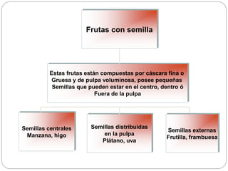 Frutas con semilla
Estas frutas están compuestas por cáscara fina o
Gruesa y de pulpa voluminosa, posee pequeñas
Semillas que pueden estar en el centro, dentro ó
Fuera de la pulpa
Semillas centrales
Manzana, higo
Semillas distribuidas
en la pulpa
Plátano, uva
Semillas externas
Frutilla, frambuesa
 