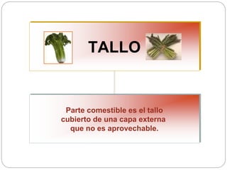 TALLO
Parte comestible es el tallo
cubierto de una capa externa
que no es aprovechable.
 