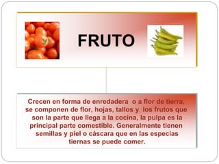 FRUTO
Crecen en forma de enredadera o a flor de tierra,
se componen de flor, hojas, tallos y los frutos que
son la parte que llega a la cocina, la pulpa es la
principal parte comestible. Generalmente tienen
semillas y piel o cáscara que en las especias
tiernas se puede comer.
 
