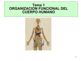 Tema 1
ORGANIZACION FUNCIONAL DEL
CUERPO HUMANO
1
 