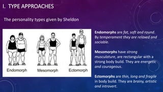 I. TYPE APPROACHES
The personality types given by Sheldon
Endomorphs are fat, soft and round.
By temperament they are relaxed and
sociable.
Mesomorphs have strong
musculature, are rectangular with a
strong body build. They are energetic
and courageous.
Ectomorphs are thin, long and fragile
in body build. They are brainy, artistic
and introvert.
 
