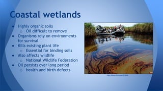 ● Highly organic soils
o Oil difficult to remove
● Organisms rely on environments
for survival
● Kills existing plant life
o Essential for binding soils
● Also affects wildlife
o National Wildlife Federation
● Oil persists over long period
o health and birth defects
Coastal wetlands
http://kboo.fm/node/21948
 