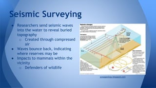 ● Researchers send seismic waves
into the water to reveal buried
topography
o Created through compressed
air
● Waves bounce back, indicating
where reserves may be
● Impacts to mammals within the
vicinity
o Defenders of wildlife
Seismic Surveying
pcsageology.blogspot.com
 