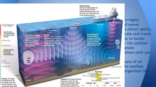● These animals are highly
sensitive to sound waves
o Seismic tests distort ability
to communicate and travel
● Not a reliable way to locate
reserves beneath the seafloor
o Educated guesses
 “Never know until you
drill.”
● The location process of oil
reserves under the seafloor
impacts certain organisms like
Mammals
Continued...
http://blog.cleanenergy.org/2011/02/28/things-that-go-bump-in-the-bight/
 