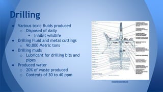 ● Various toxic fluids produced
o Disposed of daily
 Inhibit wildlife
● Drilling Fluid and metal cuttings
o 90,000 Metric tons
● Drilling muds
o Lubricant for drilling bits and
pipes
● Produced water
o 20% of waste produced
o Contents of 30 to 40 ppm
Drilling
rosaninstones.nl
 