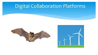 Digital Collaboration Platforms
 