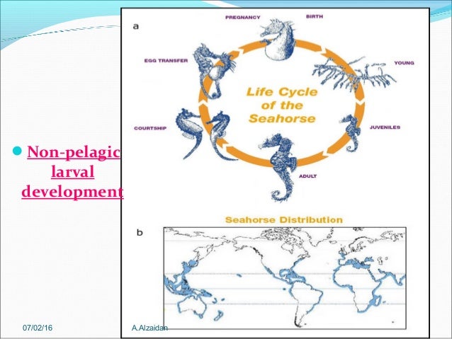 404 larval ecology (3)