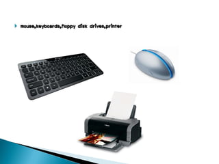    mouse,keyboards,floppy disk drives,printer
 