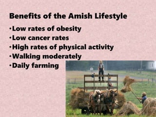 Benefits of the Amish Lifestyle
•Low rates of obesity
•Low cancer rates
•High rates of physical activity
•Walking moderately
•Daily farming
 
