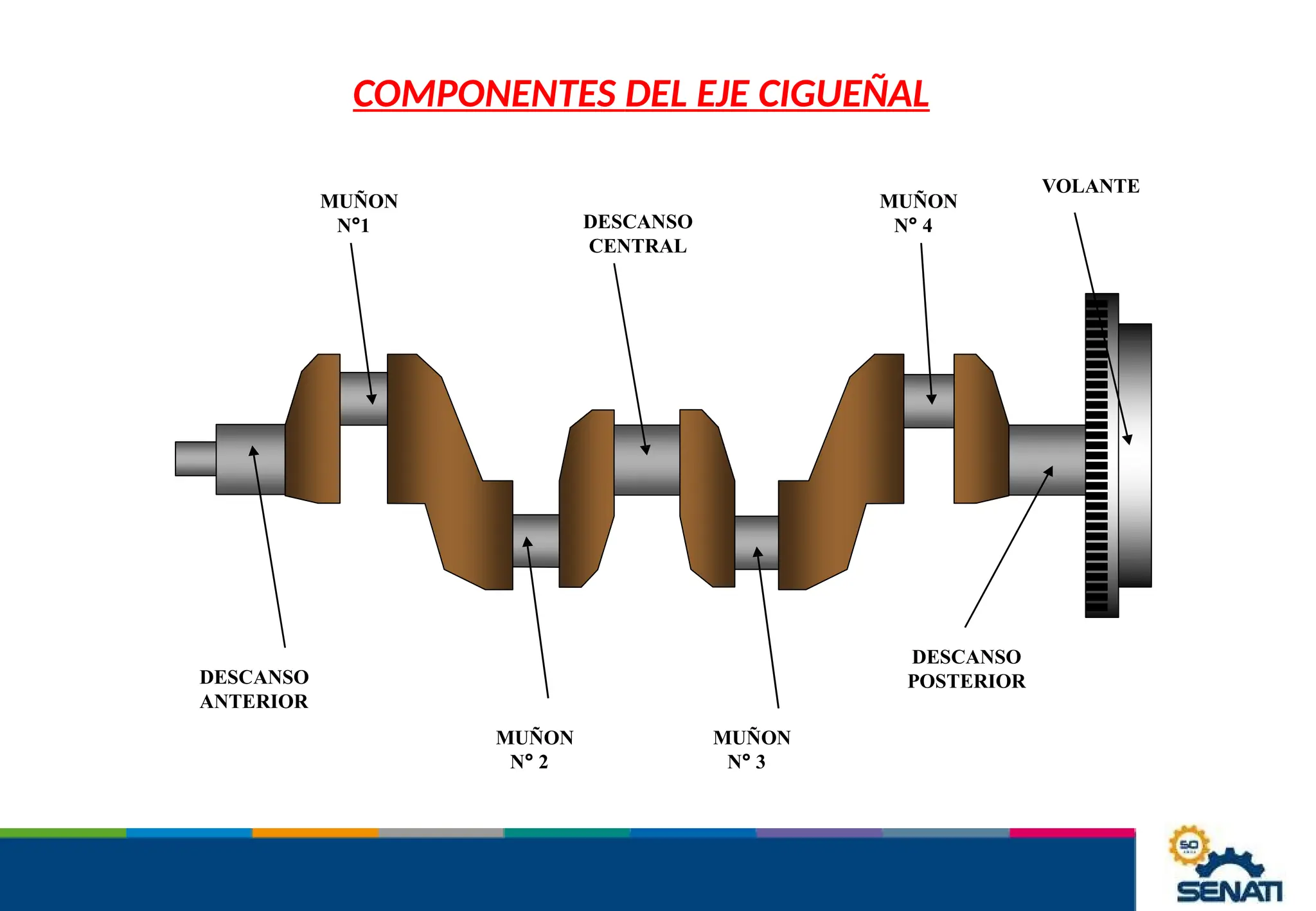 DESCANSO
ANTERIOR
MUÑON
N°1
MUÑON
N° 2
MUÑON
N° 3
MUÑON
N° 4
DESCANSO
CENTRAL
DESCANSO
POSTERIOR
VOLANTE
COMPONENTES DEL EJE CIGUEÑAL
 