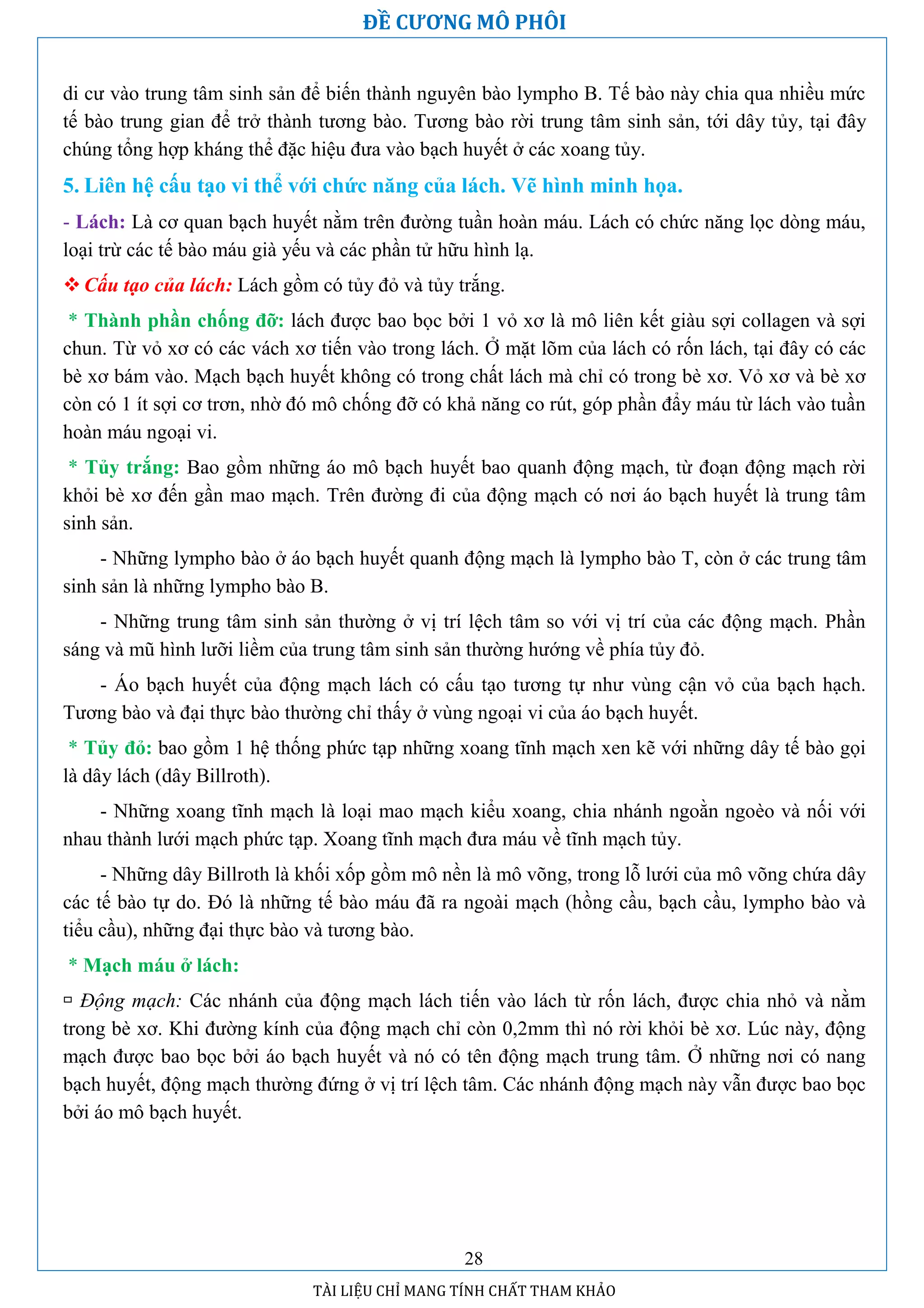 Đề cương mô phôi học | PDF