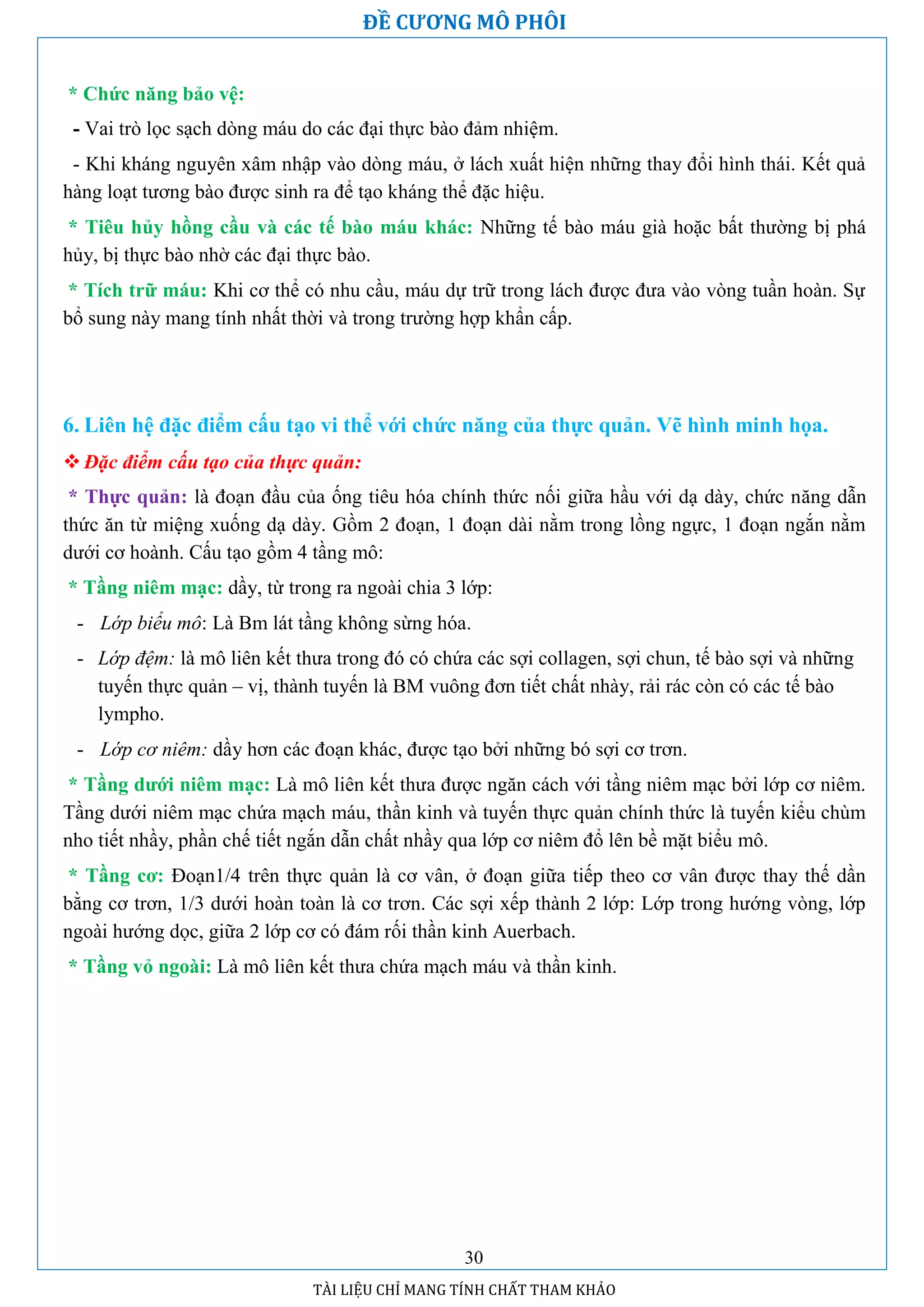 Đề cương mô phôi học | PDF