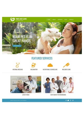 LesterKhanDechosPorfolio