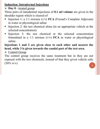 Induction: Intradermal Injections
➢ Day 0 - treated group
Three pairs of intradermal injections of 0.1 ml volume are given in the
shoulder region which is cleared of
▪ Injection 1: a 1:1 mixture (v/v) FCA (Freund’s Complete Adjuvant)
in water or physiological saline
▪ Injection 2: the test chemical alone (in an appropriate vehicle at the
selected concentration)
▪ Injection 3: the test chemical at the selected concentration
formulated in a 1:1 mixture (v/v) FCA in water or physiological
saline.
Injections 1 and 2 are given close to each other and nearest the
head, while 3 is given towards the caudal part of the test area.
➢ Control Group
The control group receives the same treatment but in they are not
exposed with the test chemicals, instead of that they given vehicle only
(50% w/v)
6
 