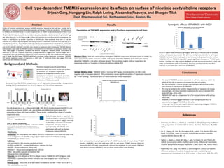 Cell type-dependent TMEM35 expression and its effects on surface α7 nicotinic acetylcholine receptors
Brijesh Garg, Hangqing Lin, Ralph Loring, Alexandra Rezvaya, and Bhargav Tilak
Dept. Pharmaceutical Sci., Northeastern Univ., Boston, MA
Abstract Results
Conclusions
References
Surface α7 nicotinic acetylcholine receptor (nAChR) expression depends on the cell type, possibly due to
differences in chaperone proteins that allow assembly and transport to the cell membrane. RIC3 (Resistance
to inhibitors of cholinesterase 3) is a known chaperone for α7 nAChR, but we previously found that it is not
significantly expressed in GH4C1, a rat pituitary cell line that when transfected with α7 nAChR plasmid,
readily produces surface receptors measured by α-bungarotoxin binding (Koperniak et al, J. Neurochem. 124:
300, 2013). Recently, Gu et al. (Neuron 89: 1, 2016) reported that Transmembrane Protein 35 (TMEM35, also
known as NACHO) acts as another chaperone in HEK293 cells when expressed alone with α7 and also
enhances RIC3 effects. We investigated how widely TMEM35 is expressed in cell lines that have little or no
endogenous α7 nAChRs. We compared those cells lines for surface expression of transfected α7. GH4C1 and
GH3 cells readily express surface α7 when transfected, while SH-SY5Y has minor endogenous α7 expression,
and SH-EP1, HEK293, RAW264.7 and H9C2 cells showed no expression when transfected. TMEM35 Western
blots showed a rank order for TMEM35 protein of GH3≥GH4C1>>SH-SY5Y, with no expression in other cells.
These data suggest a correlation between the level of endogenous TMEM35 protein and surface α7
expression in cell lines. However, preliminary binding experiments suggest that TMEM35 tagged with C
terminal GFP does not significantly enhance α7 surface expression in HEK cells transfected with both RIC3
and α7, while Myc-DDK-tagged TMEM35 significantly decreases surface expression. In contrast, TMEM35-
GFP permits significant surface α7 expression in H9C2 cells. If confirmed, these data suggest RIC3 may
interact with the TMEM35 C-terminal.
Background and Methods
Both primary mice macrophages and rat α7 nAChR transfected GH3 cells show 125I-BGT
binding. RAW264.7 and GH3 wild type (WT) do not show 125I-BGT binding (data not
shown for GH3 WT cells). Interestingly, primary macrophages do not express TMEM35
(see above) and very little RIC3, and yet show some surface toxin binding.
0.0
200.0
400.0
600.0
800.0
1000.0
1200.0
1400.0
1600.0
1800.0
2000.0
TMEM35-GFP TMEM35-myc-DDK Control
125I-BGTCPMbound/well
Effects of TMEM35 with C-terminal tags on HEK cells
co-transfected with both α7 & RIC3
Ric3 Ab:
a7 a7/S-rRic3 a7/S-rRic3 a7/hRic3 a7/hRic3
+siRNA +siRNA
Non-Permissive SH-EP1 cells Permissive GH4C1 cells
a7 a7/S-rRic3 a7/S-rRic3 a7/hRic3 a7/hRic3
+siRNA +siRNA
Ric3 Ab:
0
1
2
3
4
5
6
fmolebound/well
0
2
4
6
8
10
12
14
16
18
fmolebound/well
* **
Modified from:
http://www.pdbj.org/pdb_images/2bg9_y.jpg
Assembled a7 receptor
Membrane
Extracellular
space
Intracellular
space
a
a
Receptor assembly in ER
Chaperones?
a
a
a
Chaperones?
a
a
Receptor assembly in ER
Chaperones?Modified from: http://www.med.upenn.edu/
nscience/images2/PromAChRsubtypeswhitea.jpg
a
a
a
Proper folding and
trafficking to
surface
Chaperones?
← also known as TMEM35
E-pub: March 2, 2016
Nicotinic receptor subunits assemble as
pentamers and then traffic to the cell surface
to function. a7 receptors require the
presence of chaperone proteins in the
endoplasmic reticulum to properly assemble.
One known chaperone is RIC3 (Resistance to
Inhibitors of Cholinesterase 3)
Tom Koperniak
Some cell lines, like GH4C1, are permissive for a7 expression (measured by a-bungarotoxin
binding [BGT]) , while others, like SH-EP1, require RIC3 for surface expression.
Our lab (Koperniak et al., J. Neurochem. 124: 300, 2013) recently showed that RIC3 is not
present in permissive GH4C1 cells, and shRNAs and siRNAs that knock down RIC3
expression in these cells have no effect. These results predicted that other a7 receptor
chaperones exist.
Early this year, Gu et al. reported that
Transmembrane Protein 35 (TMEM35-
also known as Novel nAChR regulatOr
or NACHO) is a second a7 receptor
chaperone, and acts alone or
synergistically with RIC3 in non-
permissive cells such as Human
Embryonic Kidney (HEK293).
Methods:
Antibodies: We investigated how widely TMEM35 is expressed in cell lines that have little
or no endogenous α7 nAChRs using a Sigma rabbit polyclonal antibody (catalog
HPA048583) for Western blots.
Cell lines:
GH3 and GH4C1: Rat pituitary-derived cell lines
SH-SY5Y and SH-EP1: Human glioblastoma –derived cell lines
HEK293: Human embryonic kidney cells
RAW264.7: Mouse macrophage-derived cell line
H9C2: Rat cardiac myocyte-derived cell line
Mouse primary macrophages
Plasmids: rat a7 in pRep4, rat RIC3 in pRep4, human TMEME35 –GFP (Origene cat#
RG209790 ) in pCMV6, and human TMEM35-myc-DDK (Origene cat# RC209790 ) in
pCMV6.
Binding assays: Intact cells in 24 well plates incubated in 10 nM 125I-BGT for 3 h at 4⁰ C,
then washed and counted.
Composite data assembled from multiple gels
Western Blots: GH3 cells seem to have the highest TMEM35 expression, followed closely by GH4C1 (in
some experiments similar amounts to GH3), with barely detectible TMEM35 in SH-SY5Y cells and no
detectible TMEM35 in the other cell types tested. This correlates roughly with our experience for
expressing surface a7 receptors in these cells without adding RIC3.
Sample Binding Data: TMEM35 with a C-terminal GFP tag was transfected into rat H9C2 cells
together with a7 receptor plasmid. This combination causes significant surface a7 expression measured
by 125I-BGT binding. Transfection with a7 alone causes no surface expression.
Correlation of TMEM35 expression and a7 surface expression in cell lines
Gu et al. report that TMEM35 is synergistic with RIC3 in HEK293 cells to increase
surface a7 receptor expression. We don’t currently have plasmids for wild type
TMEM35 (without C-terminal tags). In preliminary binding experiments, neither
TMEM35-GFP nor TMEM35-myc-DDK caused significant increases in 125I-BGT toxin
binding, (and the myc-DDK-tagged TMEM35 actually decreased binding) in HEK cells
stably co-transfected with a7 and RIC3. This may possibly indicate that RIC3
interacts in part with the C-terminal of TMEM35.
Synergistic effects of TMEM35 with RIC3?
(data from Koperniak et al. 2013)
• Colombo, S.F., Mazzo, F., Pistillo, F., and Gotti, C. (2013). Biogenesis, trafficking
and up-regulation of nicotinic ACh receptors. Biochem. Pharmacol. 86, 1063–
1073.
• Gu, S., Matta, J.A., Lord, B., Harrington, A.W., Sutton, S.W., Davini, W.B., and
Bredt, D.S. (2016). Brain a7 nicotinic acetylcholine receptor assembly
requires NACHO. Neuron 89, 1–8.
• Halevi, S., Yassin, L., Eshel, M., Sala, F., Sala, S., Criado, M., and Treinin, M.
(2003). Conservation within the RIC-3 gene family. Effectors of mammalian
nicotinic acetylcholine receptor expression. J. Biol. Chem. 278, 34411–34417.
• Koperniak, T.M., Garg, B.K., Boltax, J., and Loring, R.H. (2013). Cell-specific
effects on surface a7 nicotinic receptor expression revealed by over-
expression and knockdown of rat RIC3 protein. J. Neurochem. 124, 300–309.
0
1000
2000
3000
4000
5000
6000
7000
8000
RAW264.7 Primary macrophages GH3 rat α7
125I-BGTbinding(CPM/well)
• The level of TMEM35 protein expression in cell lines seems to match the
ability of the cells to express a7 receptor on the cell surface.
• The one exception is mouse primary macrophages, which show surface
toxin binding in the absence of TMEM35
• This may be evidence for another chaperone for a7 receptors on mouse
macrophages, or it may represent expression of a non-a7 receptor that
binds BGT (e.g. a9 or a10).
• TMEM35-GFP acts as a chaperone for a7 in non-permissive cells such as
H9C2 cells.
• However, C-terminal tagged TMEM35 is not synergistic with RIC3 as
reported for untagged TMEM35 in HEK cells.
• A thorough test of this will require plasmids expressing untagged TMEM35,
which are currently under construction.
0.00
100.00
200.00
300.00
400.00
500.00
600.00
700.00
GFP Rat α7 Rat α7 + TMEM35-GFP
125I-BGTbinding(CPM/well)
TMEM35-GFP effect on surface a7 expression in rat
H9C2 cardiac cells
Transfection:
 
