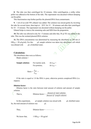 Page 5 of 9
8. The tube was then centrifuged for 10 minutes. After centrifugation, a milky white
pellet was adhered at the bottom of the tube. The supernatant was decanted without dumping
out the pellet.
This fractionation step further purifies the plasmid DNA from contaminants.
9. 1 ml of ice-cold 70% ethanol was added. The solution was mixed gently by inverting
the tube for several times, then kept at – 20C for 15 – 30 minutes and after that centrifuged
for 10 – 15 minutes. The supernatant was decanted without dumping out the pellet.
Ethanol helps to remove the remaining salts and SDS from the preparation.
10. The tube was allowed to dry for ~5 minutes and after that, 50 l TE was added to the
tube. This was the isolated plasmid DNA solution.
11. The DNA concentration was determined by measuring the absorbance at 260 nm 1
OD260 = 50 Lg/ml. For this L sample solution was taken into absorbance cell which
was diluted with L of distilled water.
Calculation:
The absorbance data were as follows:
Blank solution =
Sample solution: For nucleic acid, At 260 =
For proteins, At 282 =
Ratio =
280
260


=
If the ratio is equal to 1.8 the DNA is pure, otherwise protein complexed DNA (i.e.
impure).
Dilution factor:
Dilution factor is the ratio between total amount of solution and amount of sample
solution.
That is, Dilution factor =
solutionsampleofAmount
solutiontotalofAmount
In this experiment, l sample solution was mixed with L distilled water.
So, the total amount of solution was l.
Thus, Dilution factor =
We know that, 1 OD260 = 50 g/ml
 