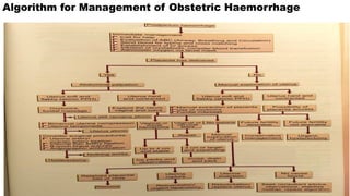 Obstetric Algorithm 407102189-Obstetric-Hysterectomy-pptx-Modified.pptx