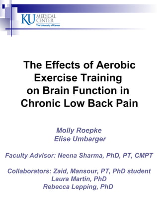 The Effects of Aerobic
Exercise Training
on Brain Function in
Chronic Low Back Pain
Molly Roepke
Elise Umbarger
Faculty Advisor: Neena Sharma, PhD, PT, CMPT
Collaborators: Zaid, Mansour, PT, PhD student
Laura Martin, PhD
Rebecca Lepping, PhD
 