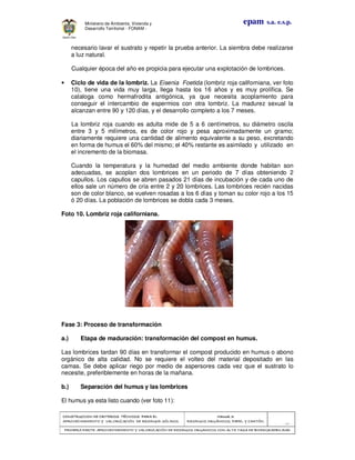 CONSTRUCCION DE CRITERIOS TÉCNICOS PARA ELCONSTRUCCION DE CRITERIOS TÉCNICOS PARA ELCONSTRUCCION DE CRITERIOS TÉCNICOS PARA ELCONSTRUCCION DE CRITERIOS TÉCNICOS PARA EL
APROVECHAMIENTO Y VALORAPROVECHAMIENTO Y VALORAPROVECHAMIENTO Y VALORAPROVECHAMIENTO Y VALORIZACIÓN DE RESIDUOD SÓLIDOS.IZACIÓN DE RESIDUOD SÓLIDOS.IZACIÓN DE RESIDUOD SÓLIDOS.IZACIÓN DE RESIDUOD SÓLIDOS.
Manual 3:Manual 3:Manual 3:Manual 3:
RESIDUOS ORGÁNICOS, PAPEL Y CARTÓN.RESIDUOS ORGÁNICOS, PAPEL Y CARTÓN.RESIDUOS ORGÁNICOS, PAPEL Y CARTÓN.RESIDUOS ORGÁNICOS, PAPEL Y CARTÓN.
- 30 -
PRIMERA PARTE: APROVECHAMIENTO Y VALORIZACIÓN DE RESIDUOS ORGANICOS CON ALTAPRIMERA PARTE: APROVECHAMIENTO Y VALORIZACIÓN DE RESIDUOS ORGANICOS CON ALTAPRIMERA PARTE: APROVECHAMIENTO Y VALORIZACIÓN DE RESIDUOS ORGANICOS CON ALTAPRIMERA PARTE: APROVECHAMIENTO Y VALORIZACIÓN DE RESIDUOS ORGANICOS CON ALTA TASA DE BIODEGRADBILIDADTASA DE BIODEGRADBILIDADTASA DE BIODEGRADBILIDADTASA DE BIODEGRADBILIDAD
epam s.a. e.s.p.Ministerio de Ambiente, Vivienda y
Desarrollo Territorial - FONAM -
necesario lavar el sustrato y repetir la prueba anterior. La siembra debe realizarse
a luz natural.
Cualquier época del año es propicia para ejecutar una explotación de lombrices.
• Ciclo de vida de la lombriz. La Eisenia Foetida (lombriz roja californiana, ver foto
10), tiene una vida muy larga, llega hasta los 16 años y es muy prolífica. Se
cataloga como hermafrodita antigónica, ya que necesita acoplamiento para
conseguir el intercambio de espermios con otra lombriz. La madurez sexual la
alcanzan entre 90 y 120 días, y el desarrollo completo a los 7 meses.
La lombriz roja cuando es adulta mide de 5 a 6 centímetros, su diámetro oscila
entre 3 y 5 milímetros, es de color rojo y pesa aproximadamente un gramo;
diariamente requiere una cantidad de alimento equivalente a su peso, excretando
en forma de humus el 60% del mismo; el 40% restante es asimilado y utilizado en
el incremento de la biomasa.
Cuando la temperatura y la humedad del medio ambiente donde habitan son
adecuadas, se acoplan dos lombrices en un periodo de 7 días obteniendo 2
capullos. Los capullos se abren pasados 21 días de incubación y de cada uno de
ellos sale un número de cría entre 2 y 20 lombrices. Las lombrices recién nacidas
son de color blanco, se vuelven rosadas a los 6 días y toman su color rojo a los 15
ó 20 días. La población de lombrices se dobla cada 3 meses.
Foto 10. Lombriz roja californiana.
Fase 3: Proceso de transformación
a.) Etapa de maduración: transformación del compost en humus.
Las lombrices tardan 90 días en transformar el compost producido en humus o abono
orgánico de alta calidad. No se requiere el volteo del material depositado en las
camas. Se debe aplicar riego por medio de aspersores cada vez que el sustrato lo
necesite, preferiblemente en horas de la mañana.
b.) Separación del humus y las lombrices
El humus ya esta listo cuando (ver foto 11):
 