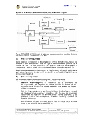 CONSTRUCCION DE CRITERIOS TÉCNICOS PARA ELCONSTRUCCION DE CRITERIOS TÉCNICOS PARA ELCONSTRUCCION DE CRITERIOS TÉCNICOS PARA ELCONSTRUCCION DE CRITERIOS TÉCNICOS PARA EL
APROVECHAMIENTO Y VALORIZACIÓN DE RESIDUOD SÓLIDOS.APROVECHAMIENTO Y VALORIZACIÓN DE RESIDUOD SÓLIDOS.APROVECHAMIENTO Y VALORIZACIÓN DE RESIDUOD SÓLIDOS.APROVECHAMIENTO Y VALORIZACIÓN DE RESIDUOD SÓLIDOS.
Manual 3:Manual 3:Manual 3:Manual 3:
RESIDUOS ORGÁNICOS, PAPEL Y CARTÓN.RESIDUOS ORGÁNICOS, PAPEL Y CARTÓN.RESIDUOS ORGÁNICOS, PAPEL Y CARTÓN.RESIDUOS ORGÁNICOS, PAPEL Y CARTÓN.
- 39 -
PRIMERA PARTE: APROVECHAMIENTO Y VALORIZACIÓN DE RESIDUOS ORGANICOS CON ALTA TASA DE BIODEGRADBILIDADPRIMERA PARTE: APROVECHAMIENTO Y VALORIZACIÓN DE RESIDUOS ORGANICOS CON ALTA TASA DE BIODEGRADBILIDADPRIMERA PARTE: APROVECHAMIENTO Y VALORIZACIÓN DE RESIDUOS ORGANICOS CON ALTA TASA DE BIODEGRADBILIDADPRIMERA PARTE: APROVECHAMIENTO Y VALORIZACIÓN DE RESIDUOS ORGANICOS CON ALTA TASA DE BIODEGRADBILIDAD
epam s.a. e.s.p.Ministerio de Ambiente, Vivienda y
Desarrollo Territorial - FONAM -
Figura 12. Extracción de hidrocarburos a partir de biomasa vegetal.
Fuente: FERNANDEZ, JAVIER. Energía de la biomasa y su aprovechamiento energético. Centro de
inmunología molecular. Ciudad Habana – Cuba. 2005.
Como se puede observar en la tabla 3 la biomasa con alto grado de humedad puede
transformarse mediante procesos bioquímicos generando una buena variedad de
subproductos con un nivel de aplicación determinado en cada caso.
Los procesos termoquímicos de conversión se basan en someter a la biomasa a la
acción de altas temperaturas y pueden dividirse en 3 amplias categorías, dependiendo
de que el calentamiento se lleve a cabo con exceso de aire (combustión), en
presencia de cantidades limitadas de aire (gasificación) o en ausencia total del mismo
(pirólisis).
Tabla Procesos de transformación de la biomasa en energía.
Fuente: FERNANDEZ, JAVIER. Energía de la biomasa y su aprovechamiento energético. Centro de
inmunología molecular. Ciudad Habana – Cuba. 2005.
a.) Procesos termoquímicos
Estos procesos se basan en la descomposición térmica de la biomasa, la cual es
sometida a altas temperaturas, para dar lugar a transformaciones químicas de la
misma. A partir de este tratamiento se obtienen productos combustibles o
directamente a energía para la producción de electricidad u otro tipo de energía útil.
Los procesos a través de los cuales ocurre la transformación química de la biomasa a
partir de su degradación térmica, son: la combustión, la gasificación y la pirólisis como
se muestra en la tabla 3.
b.) Procesos bioquímicos.
Se dividen a su vez en procesos microbiológicos y procesos químicos.
- Procesos microbiológicos: Se desarrollan por el crecimiento de
microorganismos, que degradan la materia orgánica al nutrirse de ella,
originando unos productos de interés energético, que pueden ser líquidos,
sólidos y/o gaseosos.
Este tipo de proceso presenta grandes posibilidades, debido a la gran variedad
de microorganismos, enzimas y microbios, entre las que se encuentran
actualmente, la producción de biocombustibles líquidos (bioetanol), y de
productos químicos (ácidos orgánicos, alcoholes, cetonas y polímeros de
diferente naturaleza).
Para que estos procesos se puedan llevar a cabo es preciso que la biomasa
tenga un alto contenido de humedad ( 50 %).
 